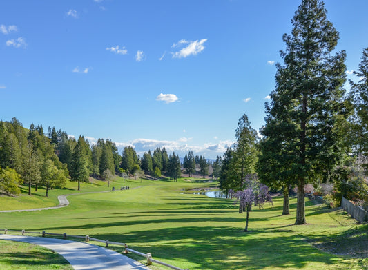 a view of a golf course from the top of a hill