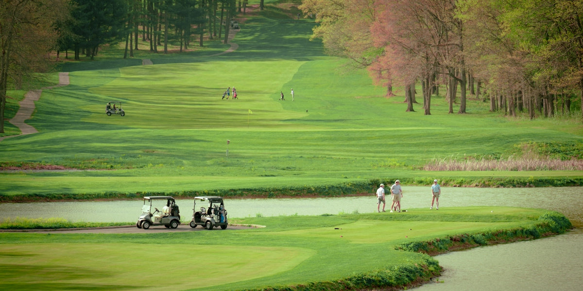 Golfers and golf carts on a beautiful green course