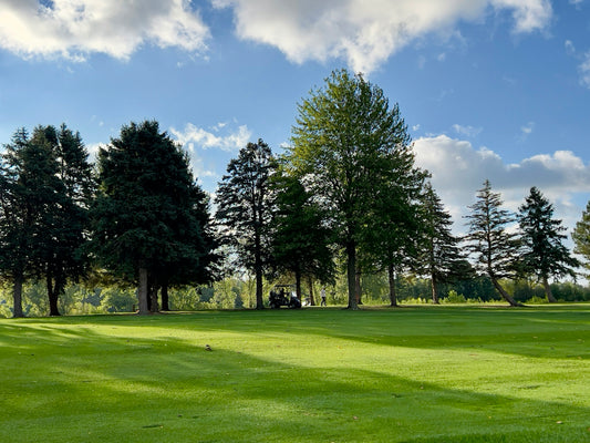 Lush green golf course with tall trees and blue sky