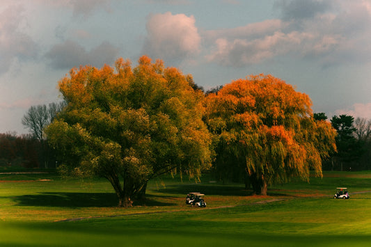 Two trees with colorful leaves on a golf course