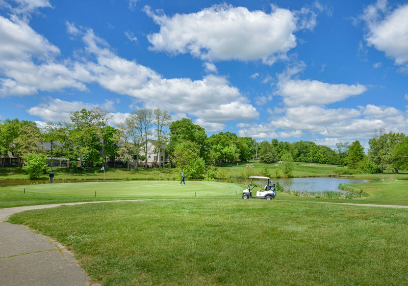 Green golf course with cart, pond, trees, and blue sky